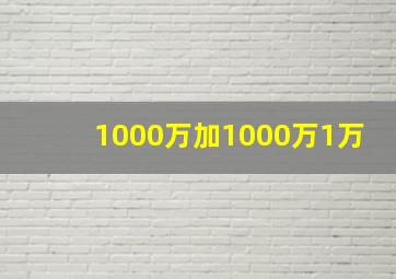 1000万加1000万1万