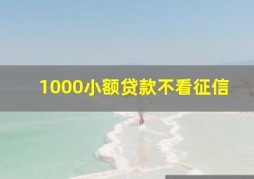 1000小额贷款不看征信