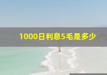 1000日利息5毛是多少