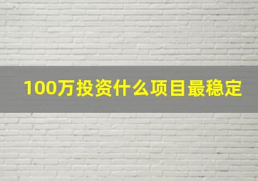 100万投资什么项目最稳定