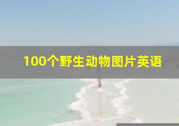 100个野生动物图片英语