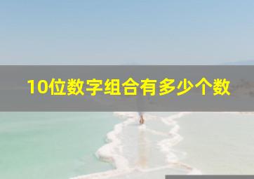 10位数字组合有多少个数