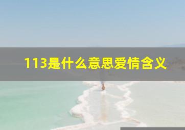 113是什么意思爱情含义