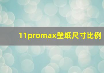 11promax壁纸尺寸比例