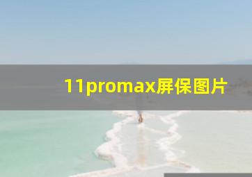 11promax屏保图片