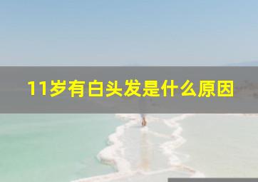 11岁有白头发是什么原因