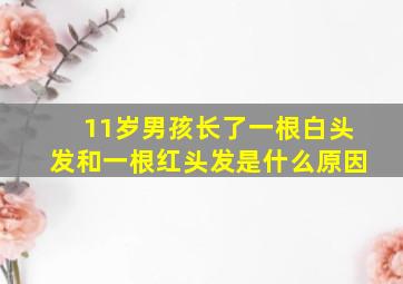 11岁男孩长了一根白头发和一根红头发是什么原因