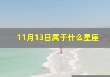 11月13日属于什么星座