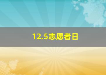 12.5志愿者日