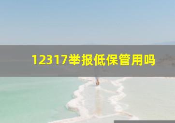 12317举报低保管用吗