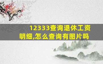 12333查询退休工资明细,怎么查询有图片吗