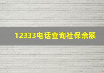 12333电话查询社保余额