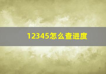 12345怎么查进度