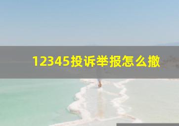 12345投诉举报怎么撤