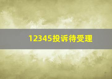 12345投诉待受理