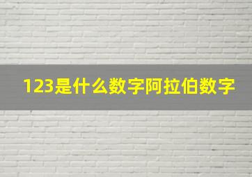 123是什么数字阿拉伯数字