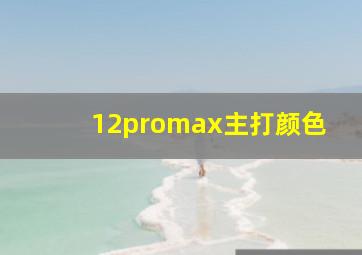 12promax主打颜色