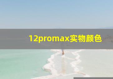 12promax实物颜色