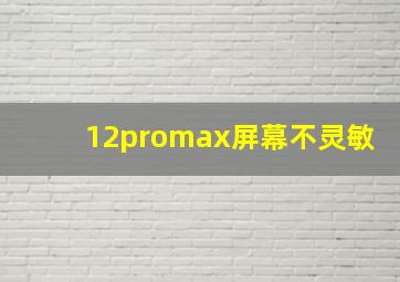 12promax屏幕不灵敏