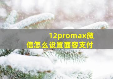 12promax微信怎么设置面容支付