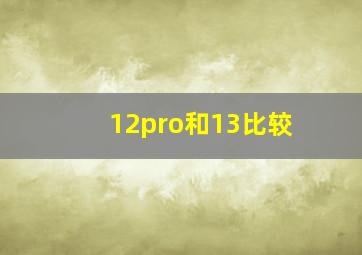 12pro和13比较