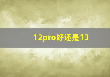 12pro好还是13