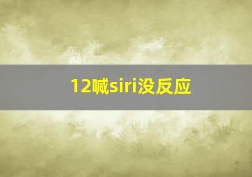 12喊siri没反应