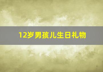 12岁男孩儿生日礼物