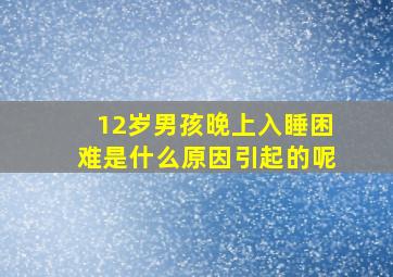 12岁男孩晚上入睡困难是什么原因引起的呢