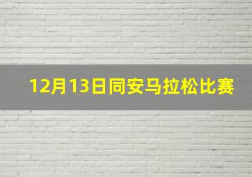 12月13日同安马拉松比赛