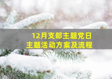 12月支部主题党日主题活动方案及流程