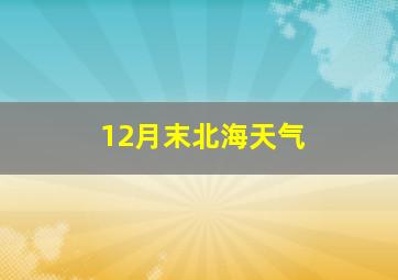 12月末北海天气