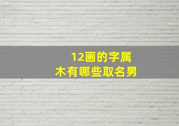 12画的字属木有哪些取名男