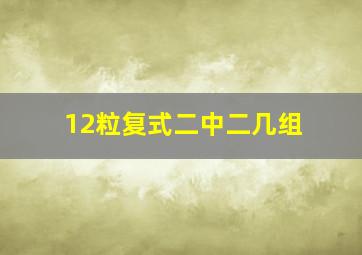 12粒复式二中二几组