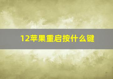 12苹果重启按什么键