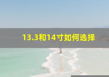 13.3和14寸如何选择