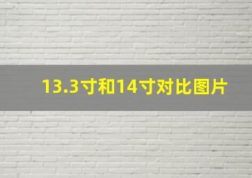 13.3寸和14寸对比图片