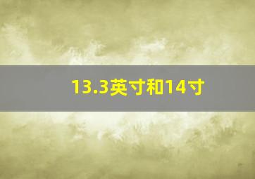 13.3英寸和14寸