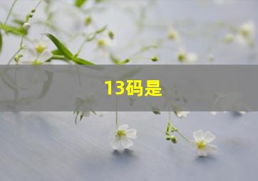 13码是