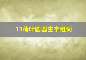 13荷叶圆圆生字组词