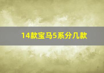 14款宝马5系分几款