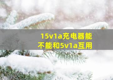 15v1a充电器能不能和5v1a互用