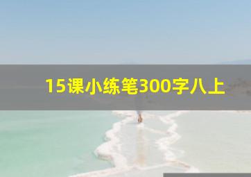 15课小练笔300字八上