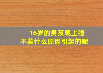 16岁的男孩晚上睡不着什么原因引起的呢