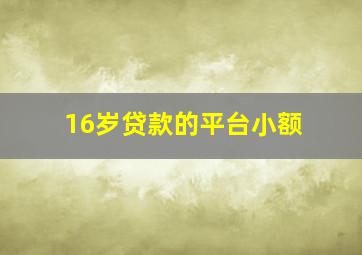 16岁贷款的平台小额