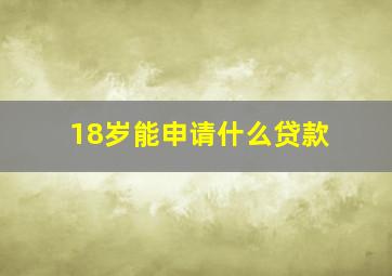 18岁能申请什么贷款