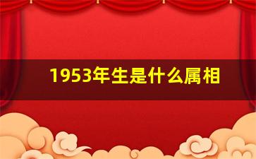 1953年生是什么属相