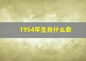 1954年生肖什么命