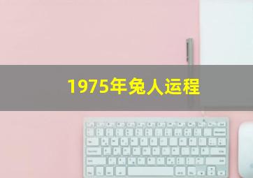 1975年兔人运程