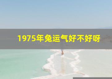 1975年兔运气好不好呀